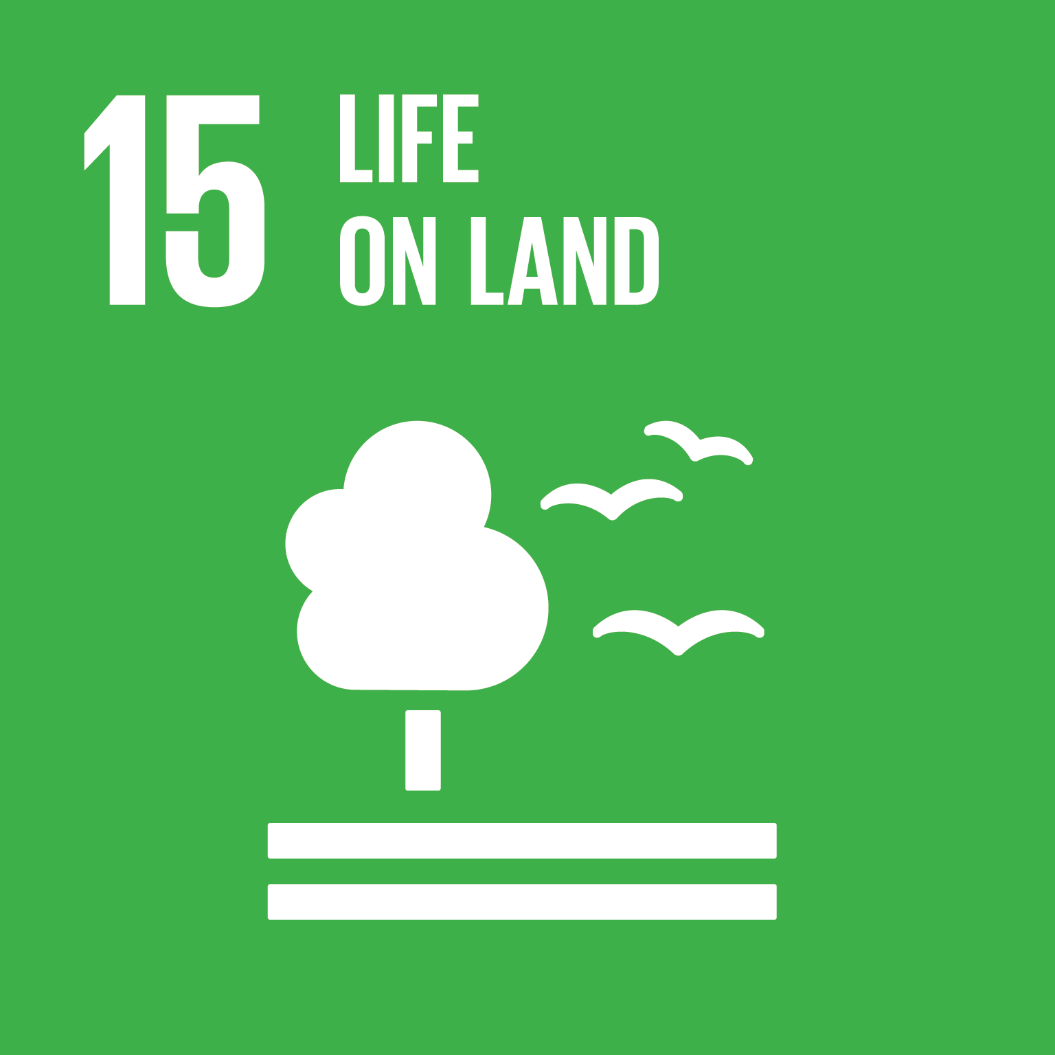 SDG 15.2: 