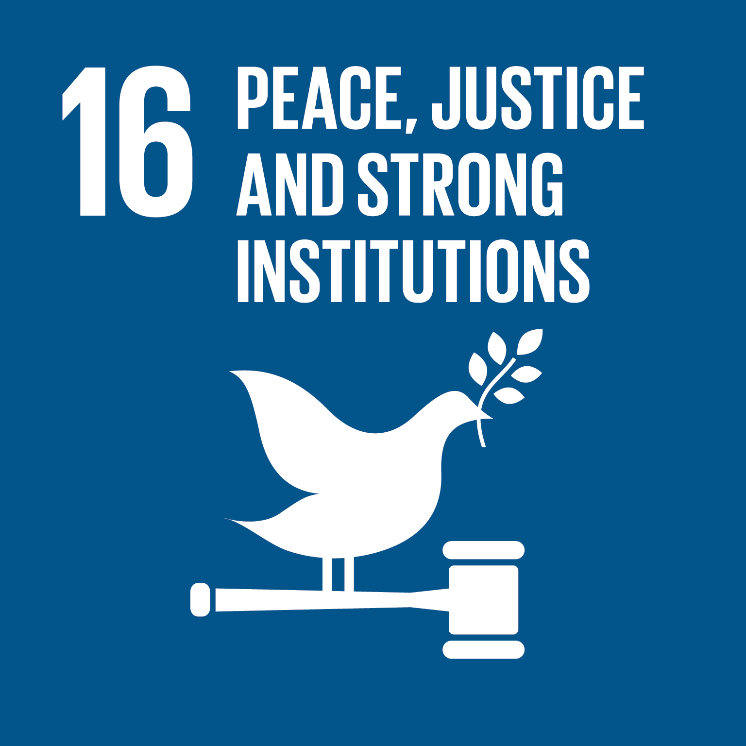 SDG 16.6: 