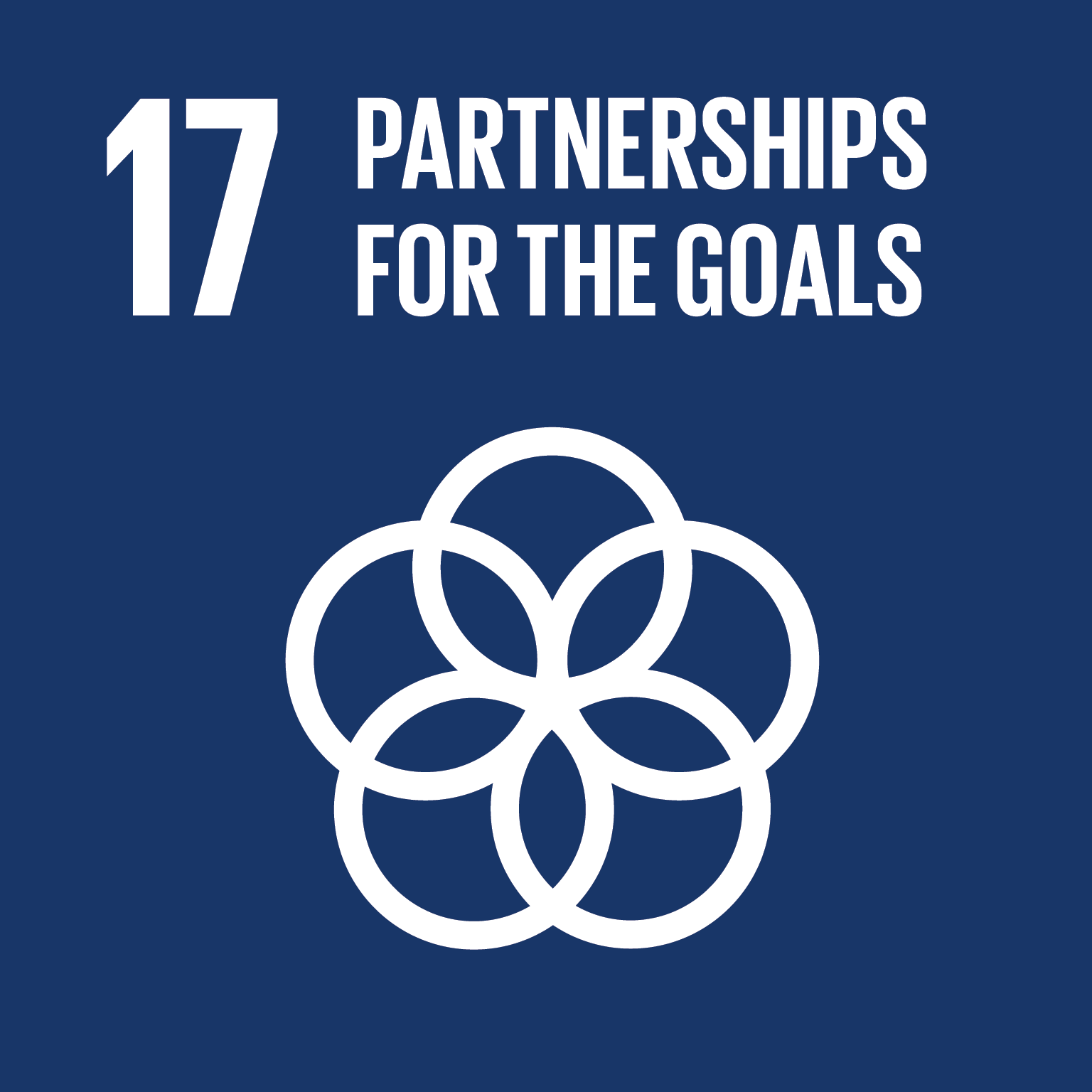 SDG 17.16: