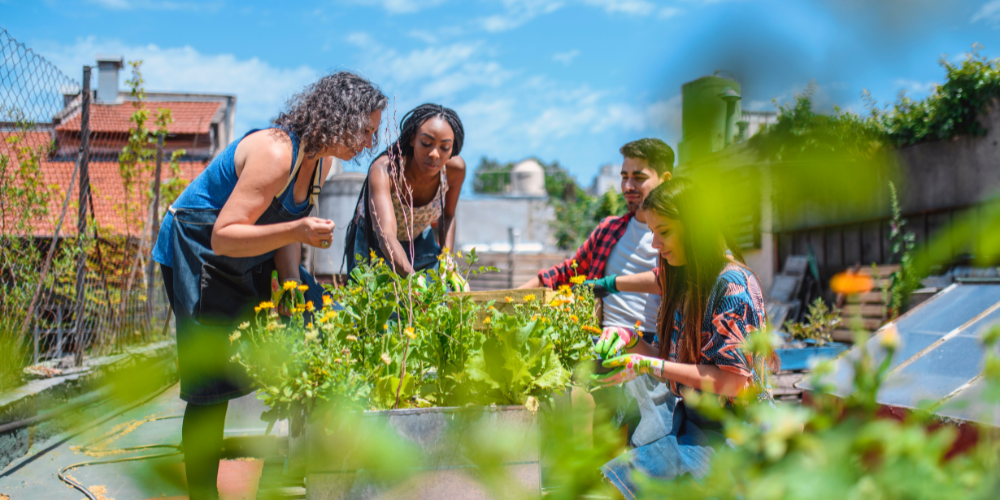 gardening community