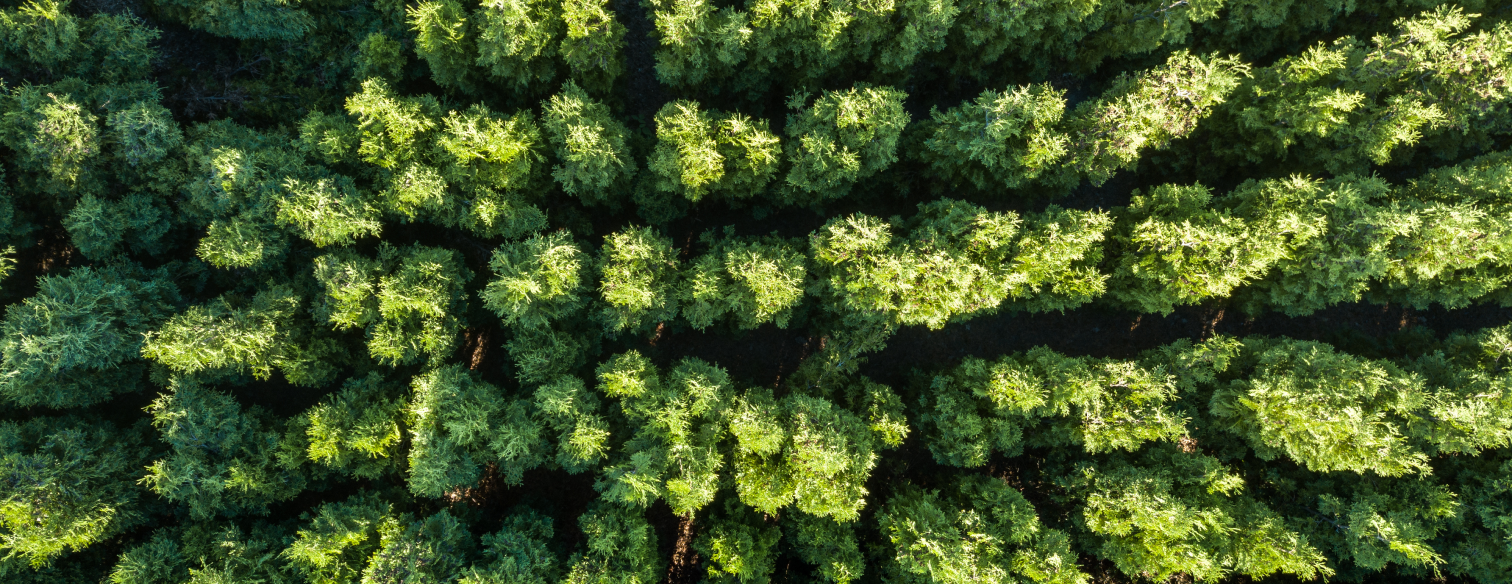 image-strip-sustainability