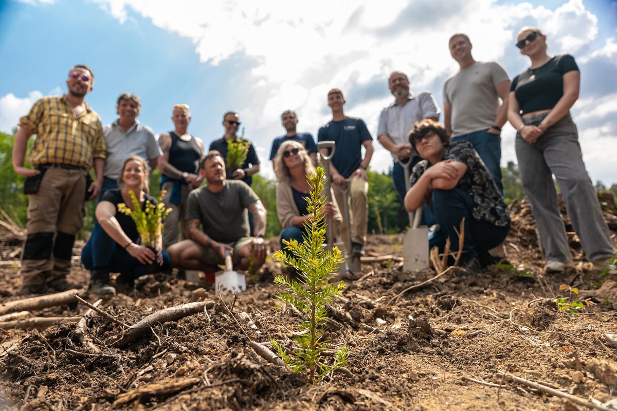 Group of volunteers tree-planting; small sapling in focus on cleared ground under cloudy sky.